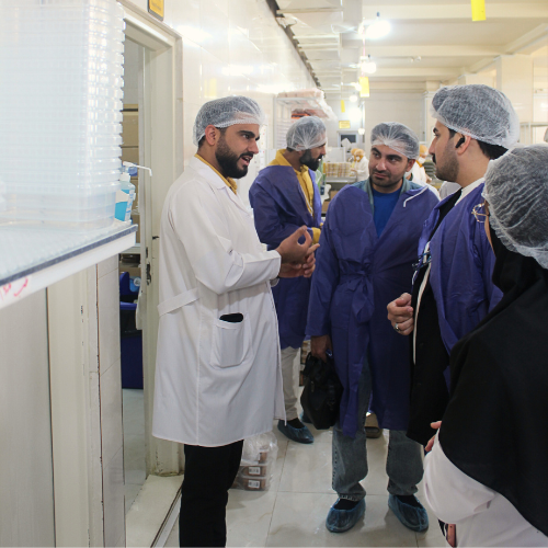 بازدید شرکت نان توشه سحر از مجموعه کشوین